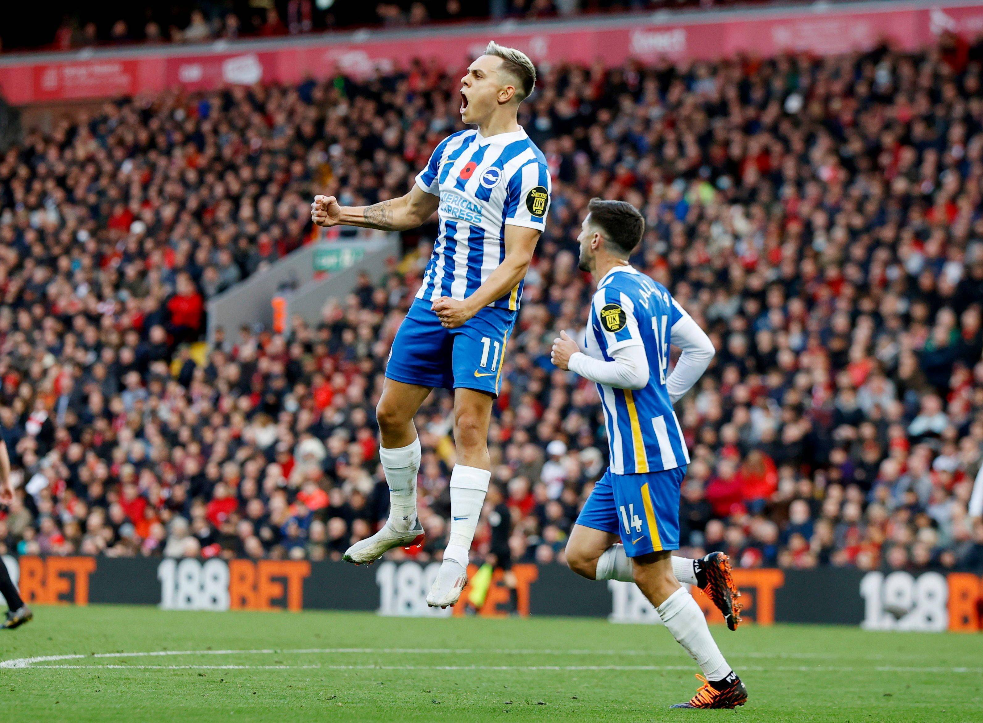 是团队的默 是团队的默