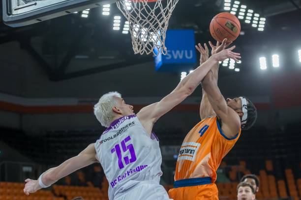 术体系与节 术体系与节